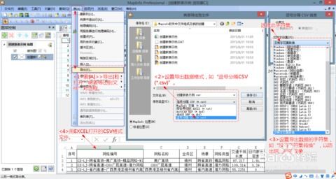 MapInfo软件数据表更新维护与系统开发维护策略探析