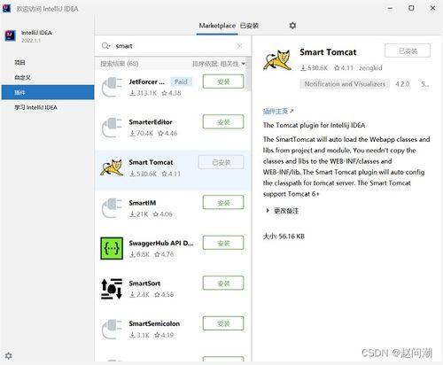 使用IntelliJ IDEA社区版进行JavaWeb项目开发与维护指南